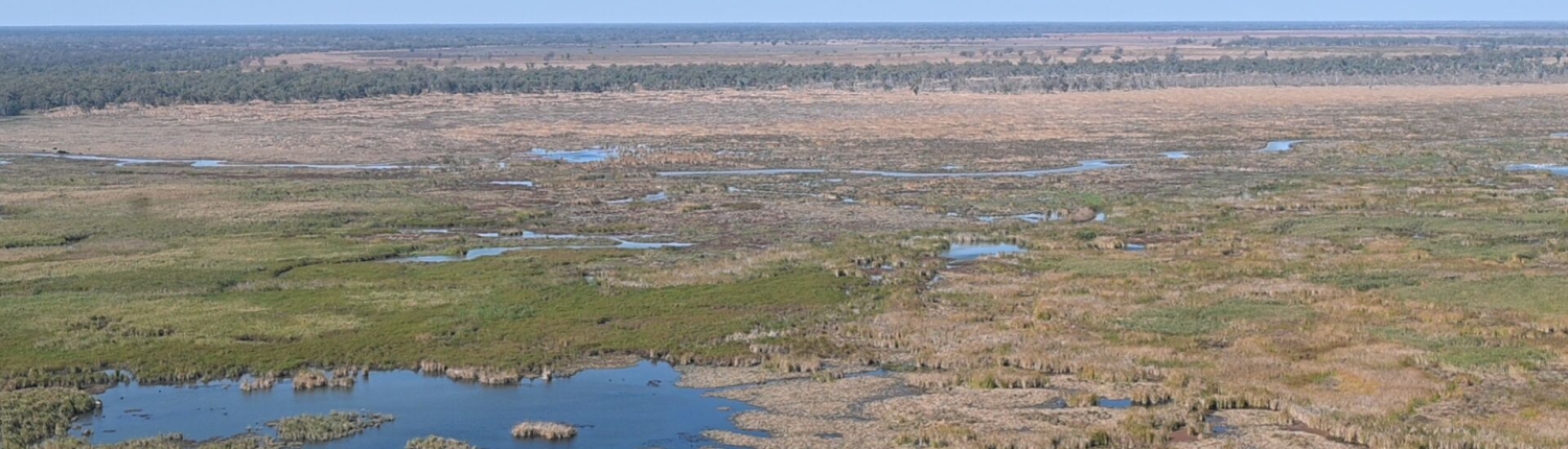 Macquarie Marshes 2022 credit: Bradley Moggridge